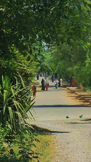 beauti, University of Peshawar #universityofpeshawar #zoology #zoological #chimastery @Sahil khan