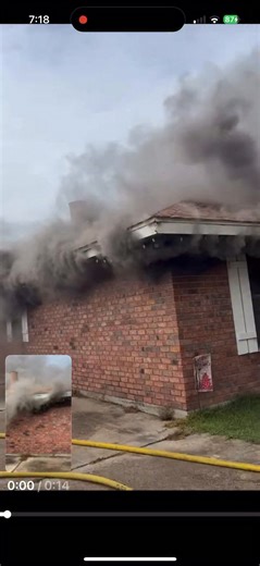 36K views · 16 reactions | Megan Hendon on Reels | Facebook