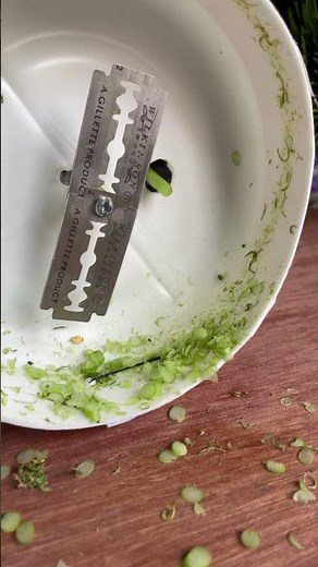 How to Make a Magnet Generate Electricity