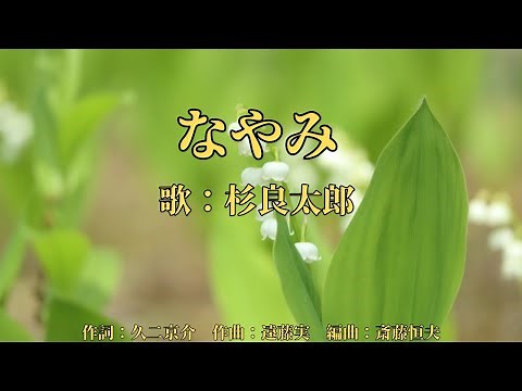 なやみ 杉良太郎