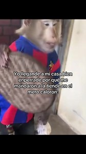Yooo | caldo