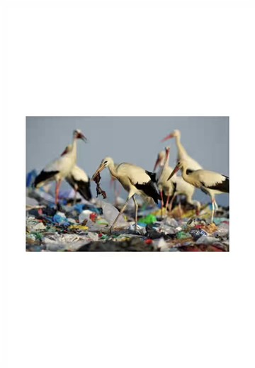 Pollution awareness: simple steps to reduce pollution today