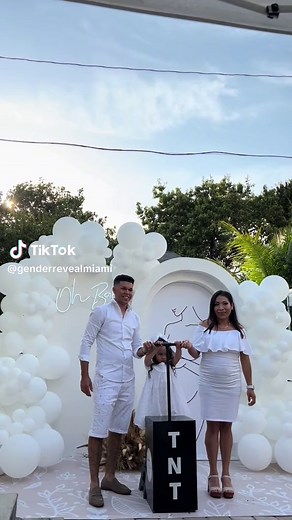 Explosive Tnt Powder Blasters Gender Reveal | Gender Reveal Ideas