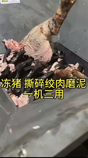 Grinder shredder machine for crushing grinding bone meat for animal feed