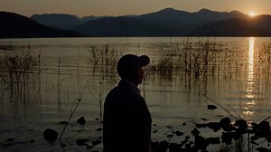 Yes, Those Are Real ‘Oreo Cows’ in Oreo’s New Milk-Dunking Commercial