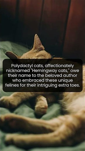 Meet the extraordinary felines that inspired a literary legend