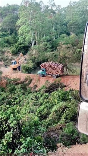 Forest Logging Scene: The Spectacular View of Timber Sliding Off a Truck
