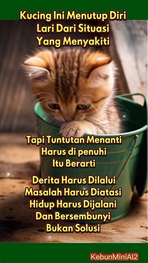 SiKucing Bersembunyi, Lari Dari Beban Yang Menghimpit😿 #cat #kucing #ai #cute #sad #shorts #sembunyi