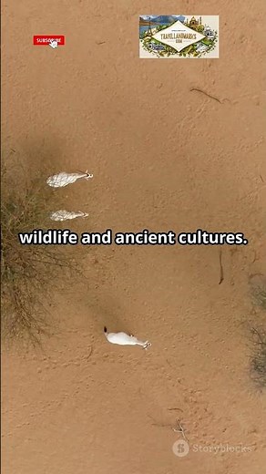 Kalahari Desert: Botswana's Wild Frontier #KalahariDesert #Botswana #TravelBotswana #DesertAdventure