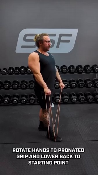 How to Do a Banded Zottman Curl