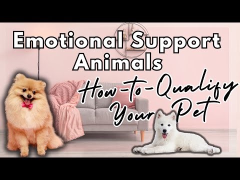 Qualify Your Pet as ESA: Smooth Process