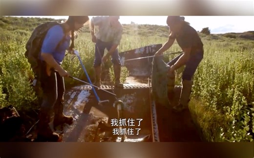 纪录片毒蛇 一《取毒高手》