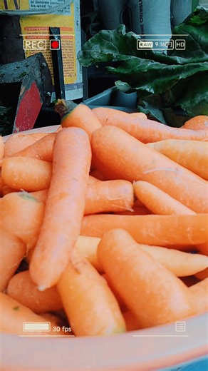 🥣 prepare sore sehat hammsy .. ternakan hamster di Three_'K' hamster Salatiga 🐹 #threekhamstersaltiga #hamstersalatiga #peternakhamster #makananhamster #sayuran