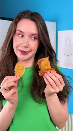 🍂 Leaf Bug Craft! 🐞 Easy & Fun DIY for Kids! #kids #crafts