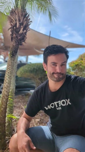 Another Plant Mystery