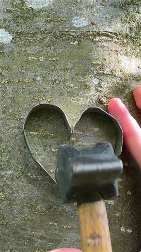This heart-shaped tree graft is pure art 🌳 | Crafty Panda