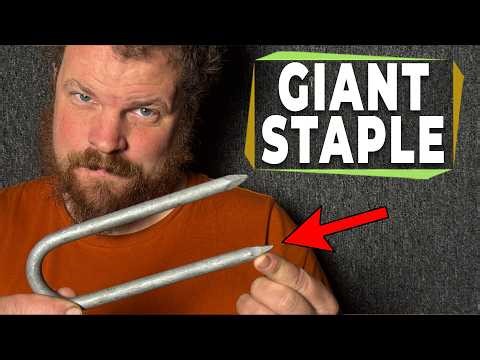 You put that in a tree?