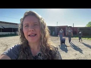 29 Rescued Horses Heading to Our Shelter!