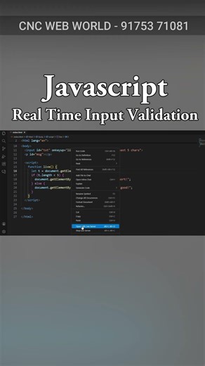 Javascript - Real Time Input Validation #frontendcourse #coding #computer