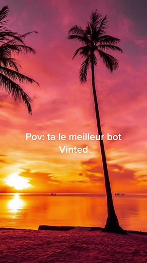 #vinted #ressel #achatrevente #bot #botdiscord #discord #botvinted #argent #argentfacille
