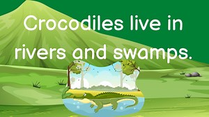 Read with Me: Easy Animal Sentences | Children Reading Better