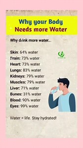 . . Why your Body Needs more Water . . . #health #waterfall #drinkwater #water #usareels #usa_tiktok #canada #australia #ukreels #reelsvideoシ #trendingreels #DidYouKnow #facts #NewsUpdate | My Health Tips