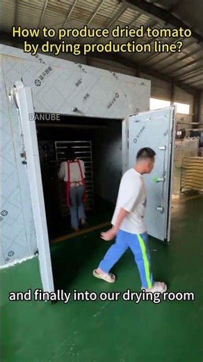 #tomatoes #tomatofarming #tomatopowder #dryingmachine #dryingequipment #DANUBE #machineworld