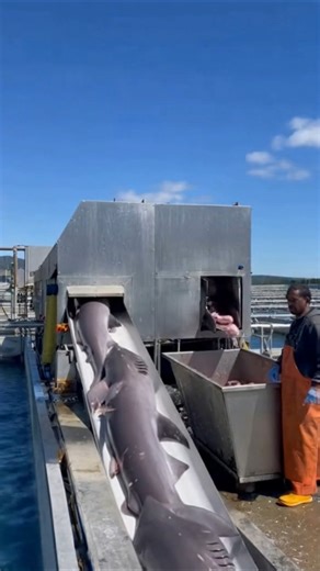 Futuristic Farm — Machines Growing the Future 🤖 🐟