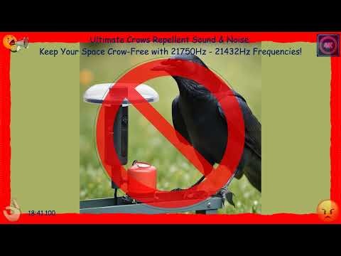 Ultimate Crows Repellent Sound & Noise: Keep Your Space Crow-Free
