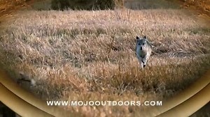 Mojo Outdoors TV Spot, 'Up Close and Personal'