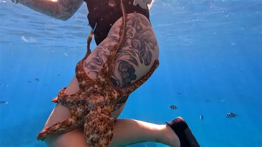 Watch these 2 girls try to control an octopus - good luck