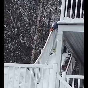 47K views · 135 reactions | Missing the cold yet baba? | Funny Videos | Facebook