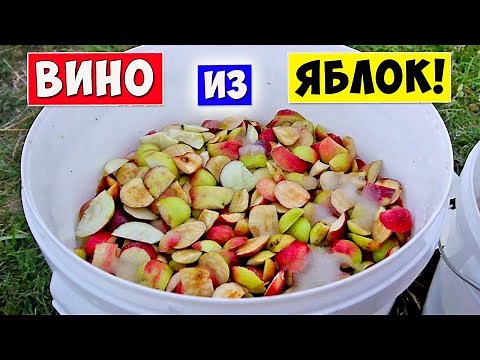 ВИНО из ЯБЛОК / Яблочное Вино - Самый Простой РЕЦЕПТ / Яблочный сидр
