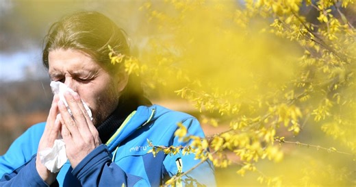 Pollen descending on Michigan as allergy season builds