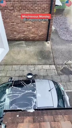 Bird droppings prank🤣#funny #usa #scarecam #foryou #prank
