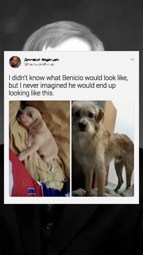 This Meme Has Everyone Relating Too Hard 😭😂