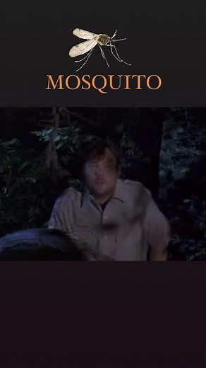 1.7K views · 40 reactions | 烈On May 20, 1995 “Mosquito” was released on video! Directed by Gary Jones. The film features actor Gunnar Hansen, who portrayed the character Leatherface in the 1974 horror film The Texas Chain Saw Massacre, along with Ron Asheton, lead guitarist for the band the Stooges. Originally titled “Skeeter”, the film was also released as “Blood Fever”.烈 | On This Day In Horror | Facebook