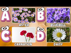 Learn A to Z Flowers with Beautiful Rhymes & Colorful Animation 🌼 | Flower Names for Children