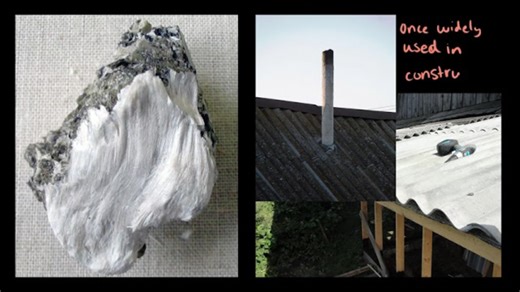 Pollution and human health