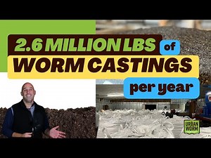 2.6 Million Pounds of Worm Castings a Year? How It's Made