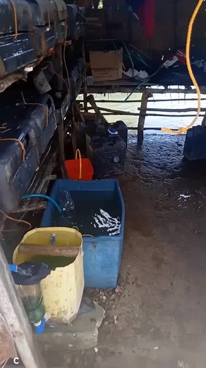 DIY Vertical Crab Farming Guide: Setup, Maintenance, and Income