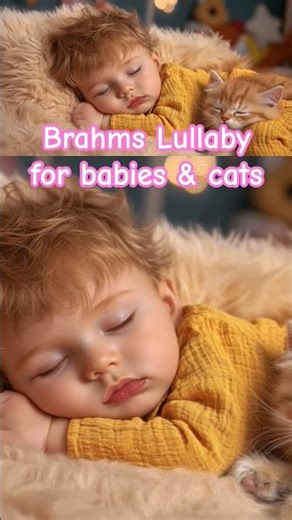 Brahms Lullaby for babies and cats Instant Baby Sleep Music #cats #relaxingmusicforkids