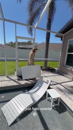 Sun-Kissed Pool Lounging