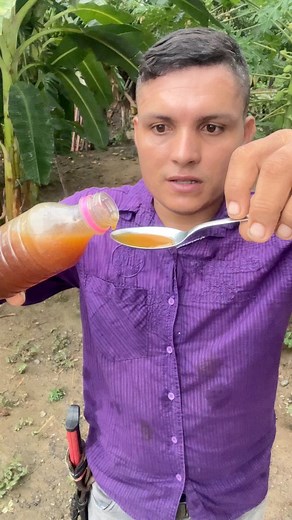 1.3M views · 11K reactions | Cómo saber cuál es la miel pura #enelcampo #enseñanzas #tutorial | Soy Alvarito delcampo | Facebook