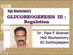 GLUCONEOGENESIS Regulation III : Reciprocal regulation of GLYCOLYSIS and GLUCONEOGENESIS