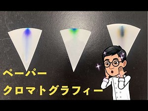 水性ペンでペーパークロマトグラフィー・タイムラプス！【科学のネタ帳】