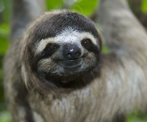 Comment épargner ? 19 conseils pour les paresseux