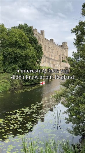 2.3K views · 829 reactions | 4 THINGS YOU PROBABLY DIDN’T KNOW  1️⃣...