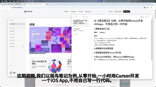 用cursor从零开始开发一个ios观鸟App