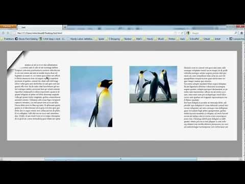 PDF zum blättern InDesign CS5 Tutorial Page Flipping